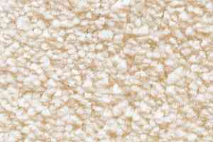 Ковролин AW Masquerade Morgana 30 фото  | FLOORDEALER